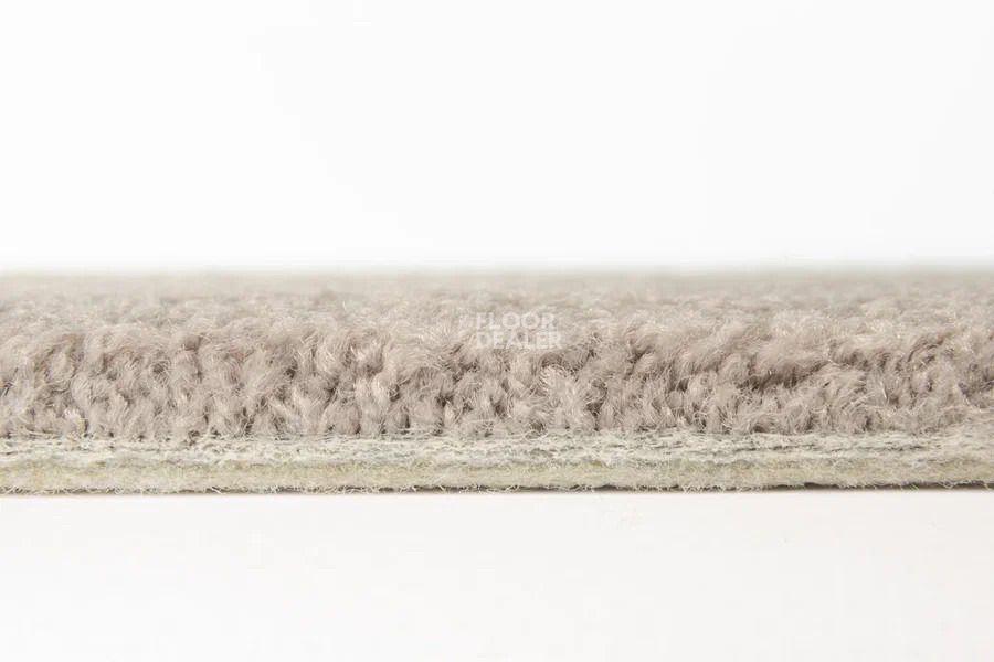 Vorwerk Superior 1065/Viola Vorwerk 5x89 фото 4 | FLOORDEALER